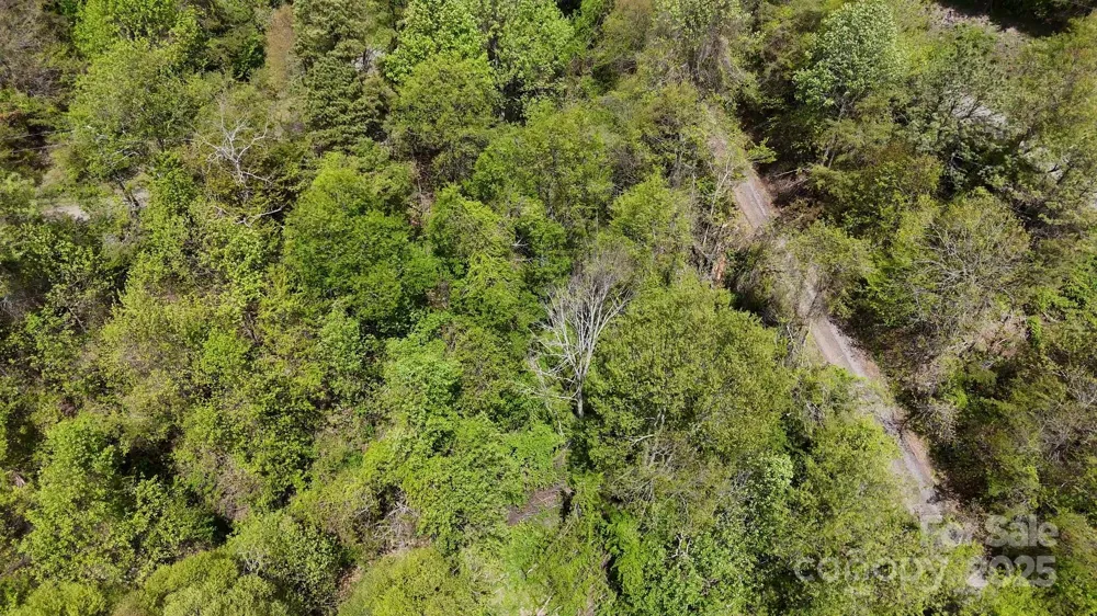 00 Troutman Trail Leicester, NC 28748