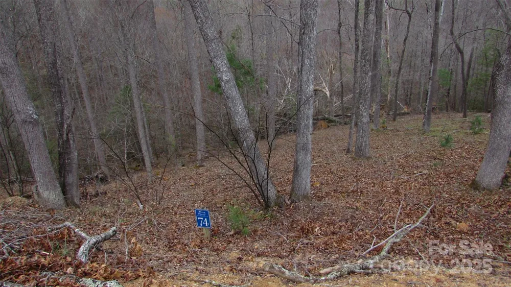 #74 Falling Water Drive Green Mountain, NC 28740