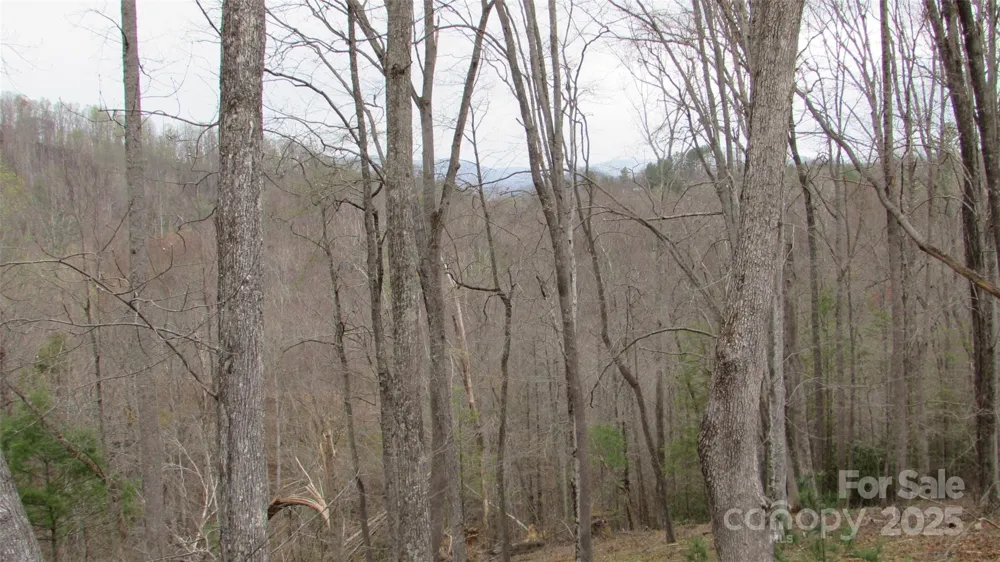 #74 Falling Water Drive Green Mountain, NC 28740