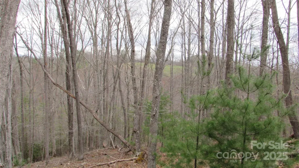 #74 Falling Water Drive Green Mountain, NC 28740