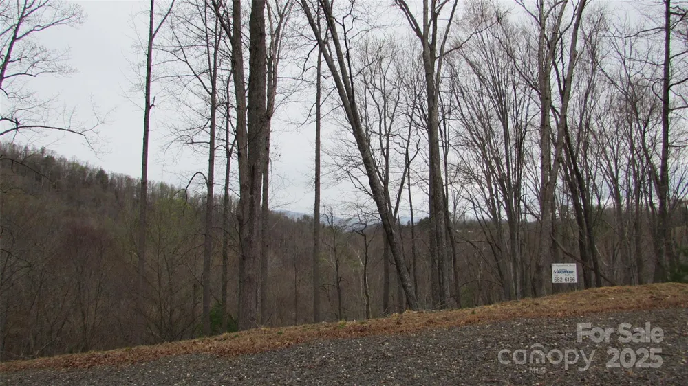 #74 Falling Water Drive Green Mountain, NC 28740