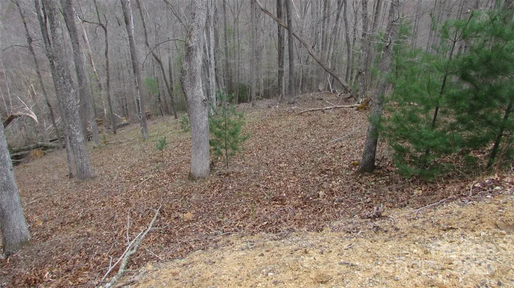 #74 Falling Water Drive Green Mountain, NC 28740