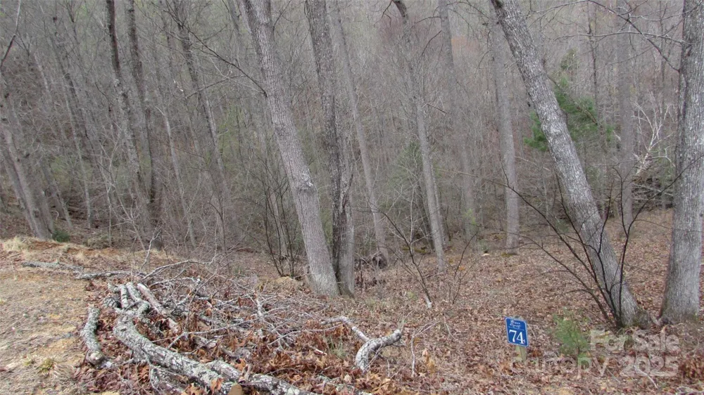 #74 Falling Water Drive Green Mountain, NC 28740
