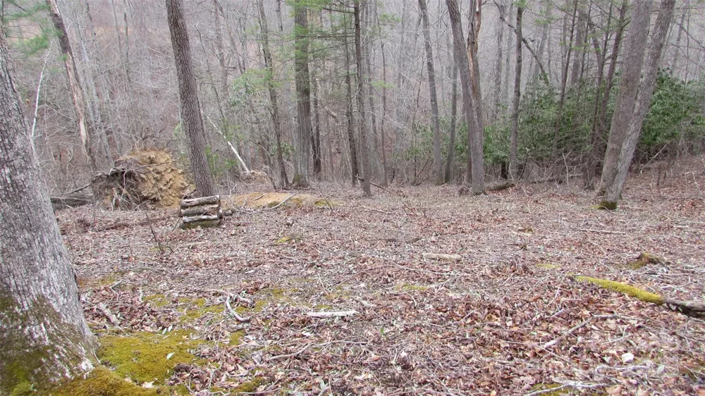 #74 Falling Water Drive Green Mountain, NC 28740