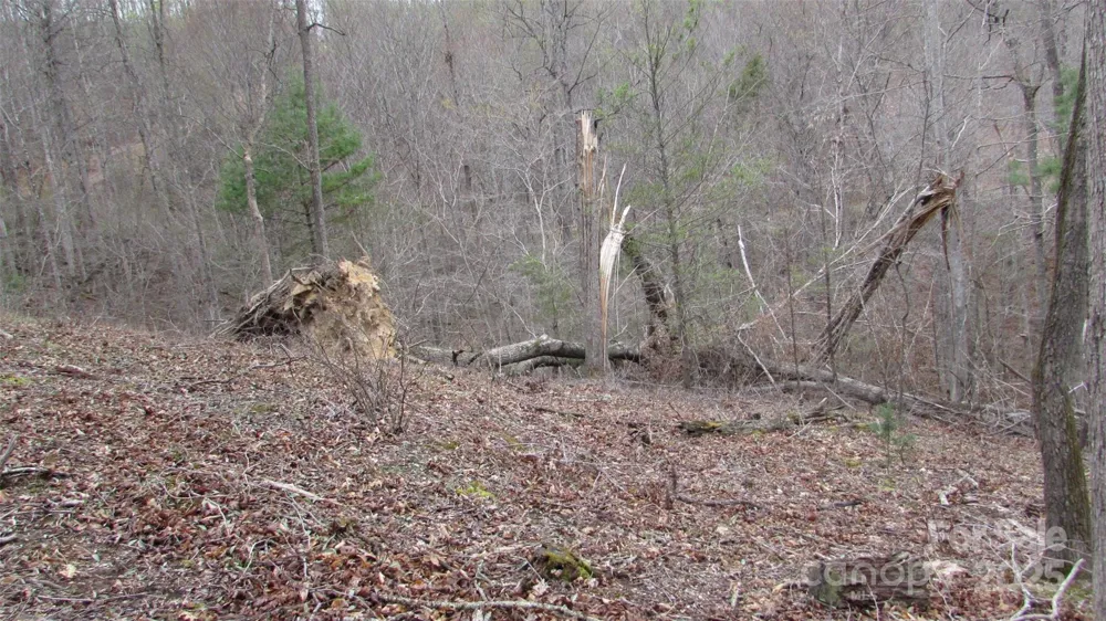 #74 Falling Water Drive Green Mountain, NC 28740