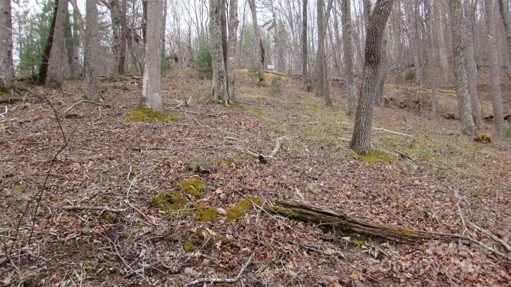 #74 Falling Water Drive Green Mountain, NC 28740