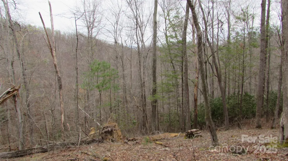#74 Falling Water Drive Green Mountain, NC 28740