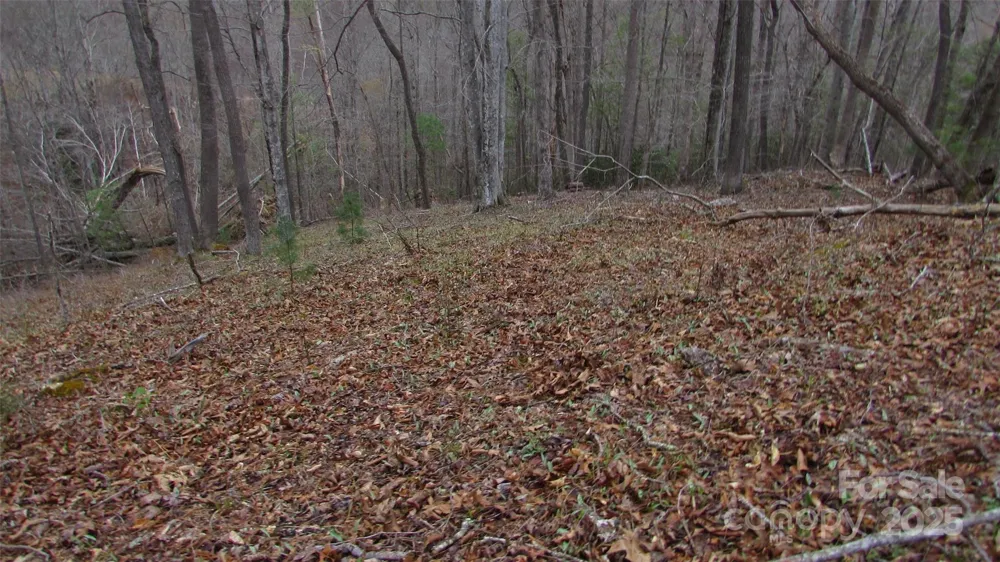 #74 Falling Water Drive Green Mountain, NC 28740