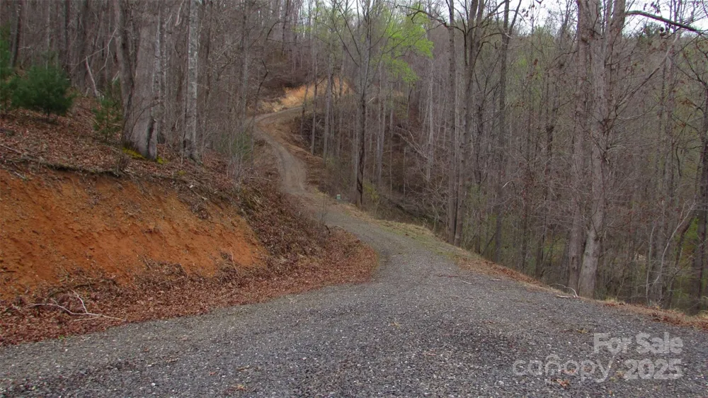 #74 Falling Water Drive Green Mountain, NC 28740