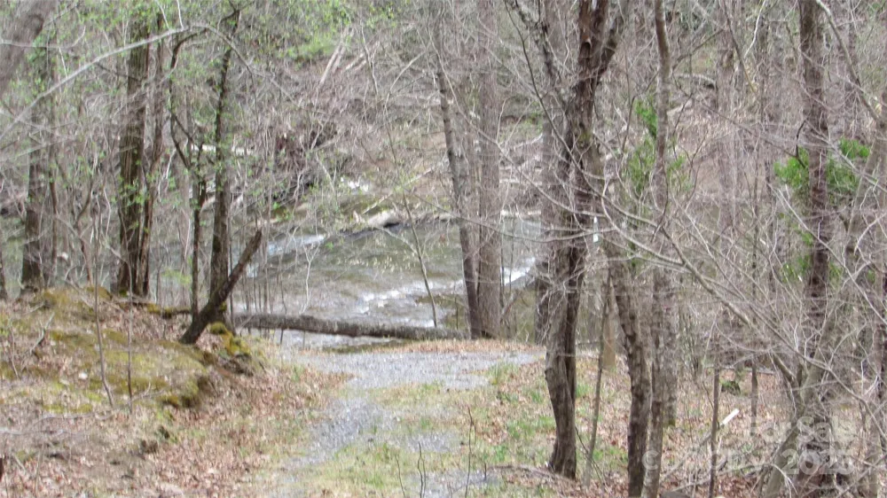 #74 Falling Water Drive Green Mountain, NC 28740