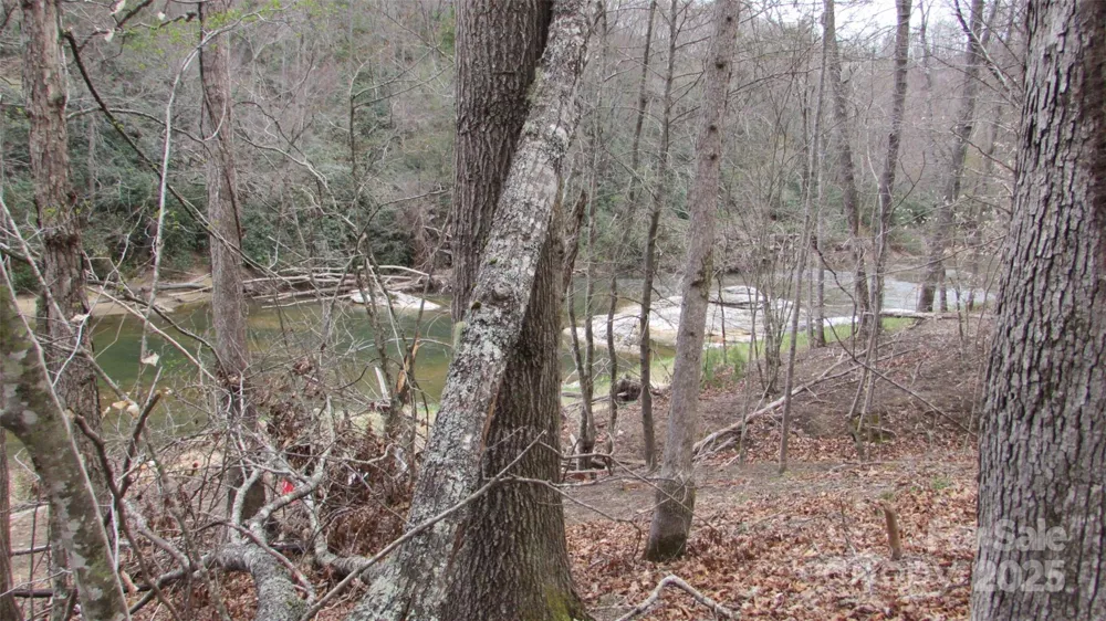 #74 Falling Water Drive Green Mountain, NC 28740