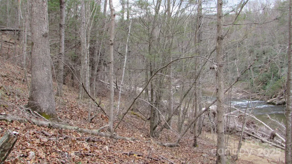 #74 Falling Water Drive Green Mountain, NC 28740