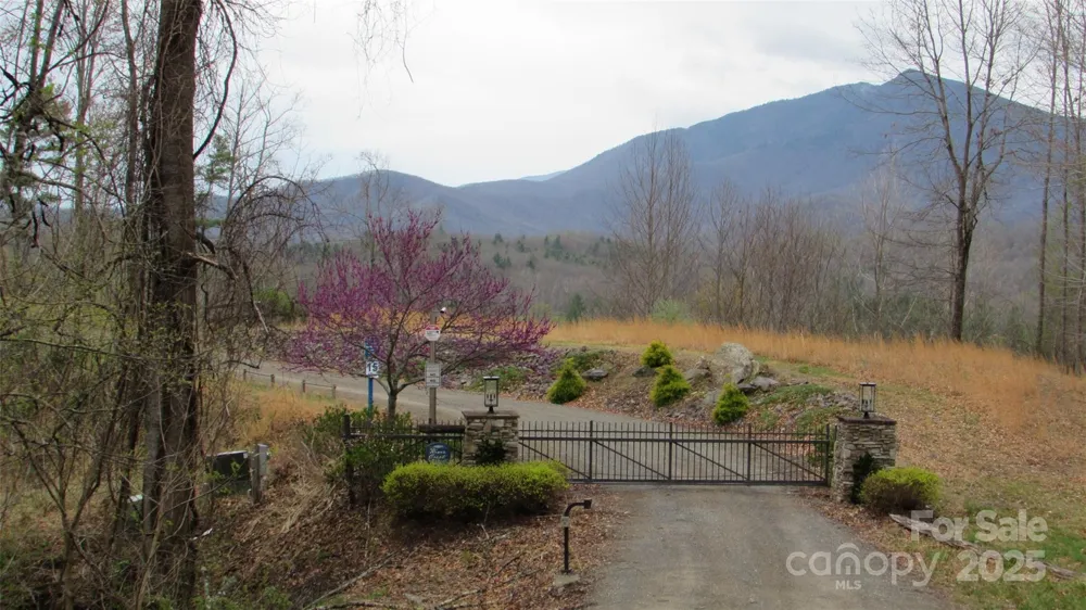 #74 Falling Water Drive Green Mountain, NC 28740