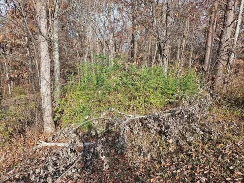 2930 Smyrna Heights Road