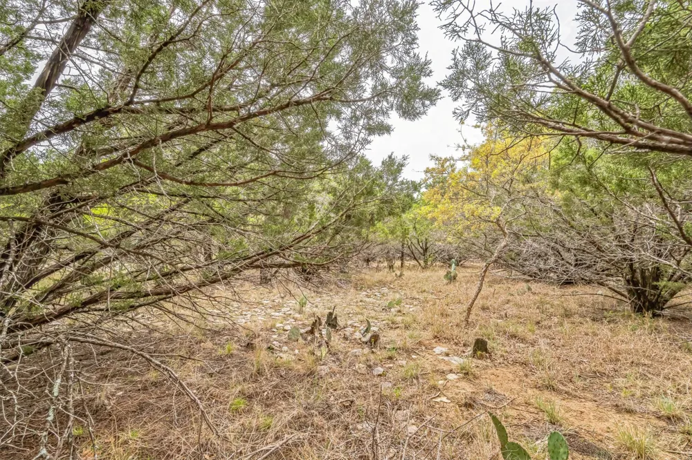 52 Carnoustie Drive Graford, TX 76449