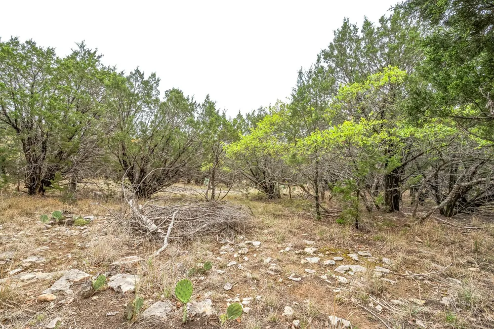 52 Carnoustie Drive Graford, TX 76449