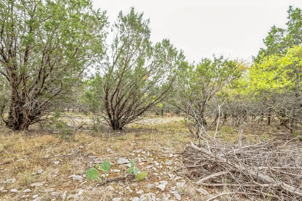 52 Carnoustie Drive Graford, TX 76449
