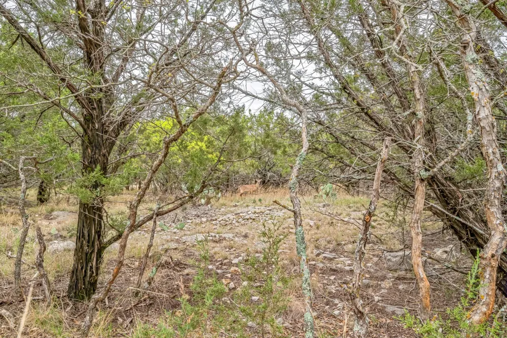 52 Carnoustie Drive Graford, TX 76449