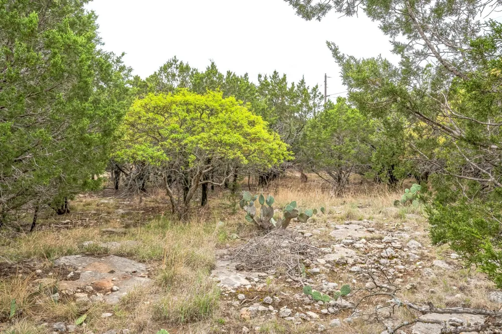 52 Carnoustie Drive Graford, TX 76449