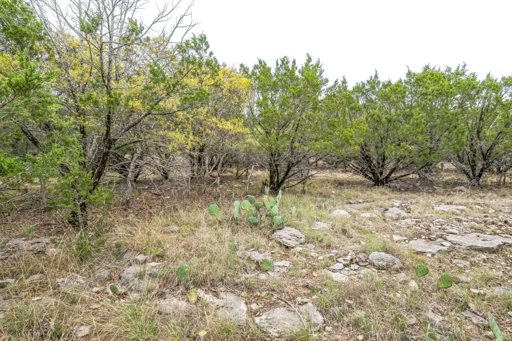 52 Carnoustie Drive Graford, TX 76449