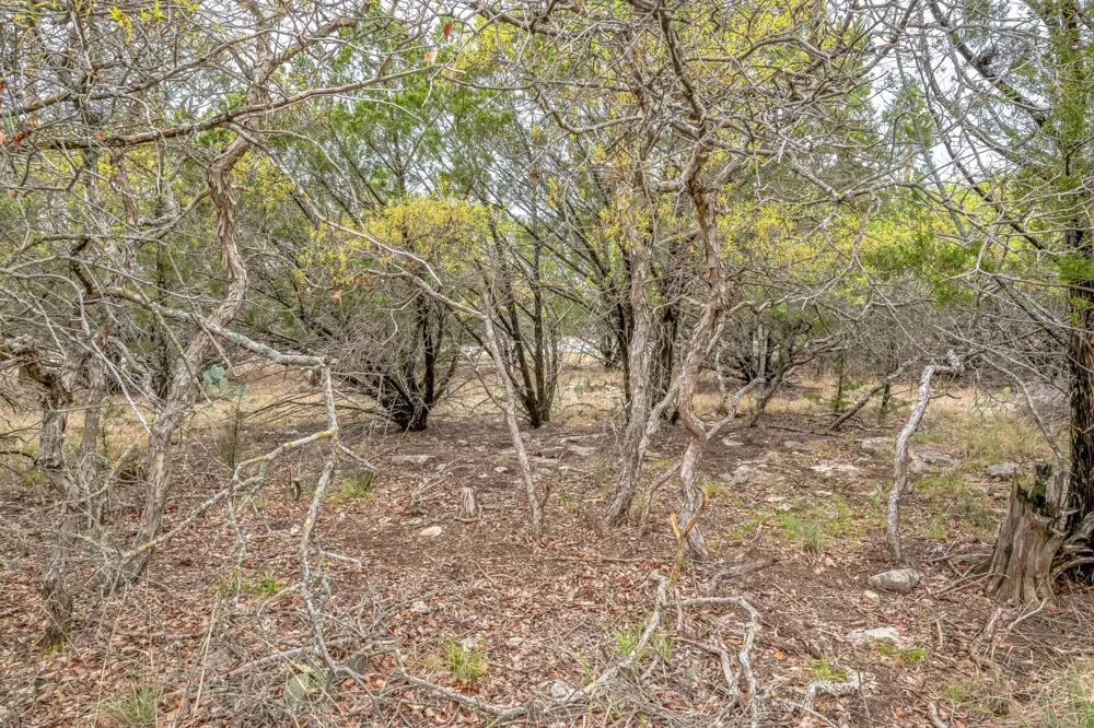 52 Carnoustie Drive Graford, TX 76449