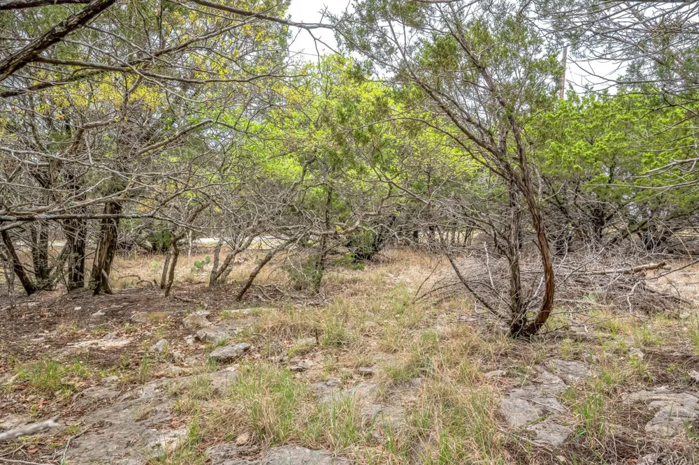52 Carnoustie Drive Graford, TX 76449