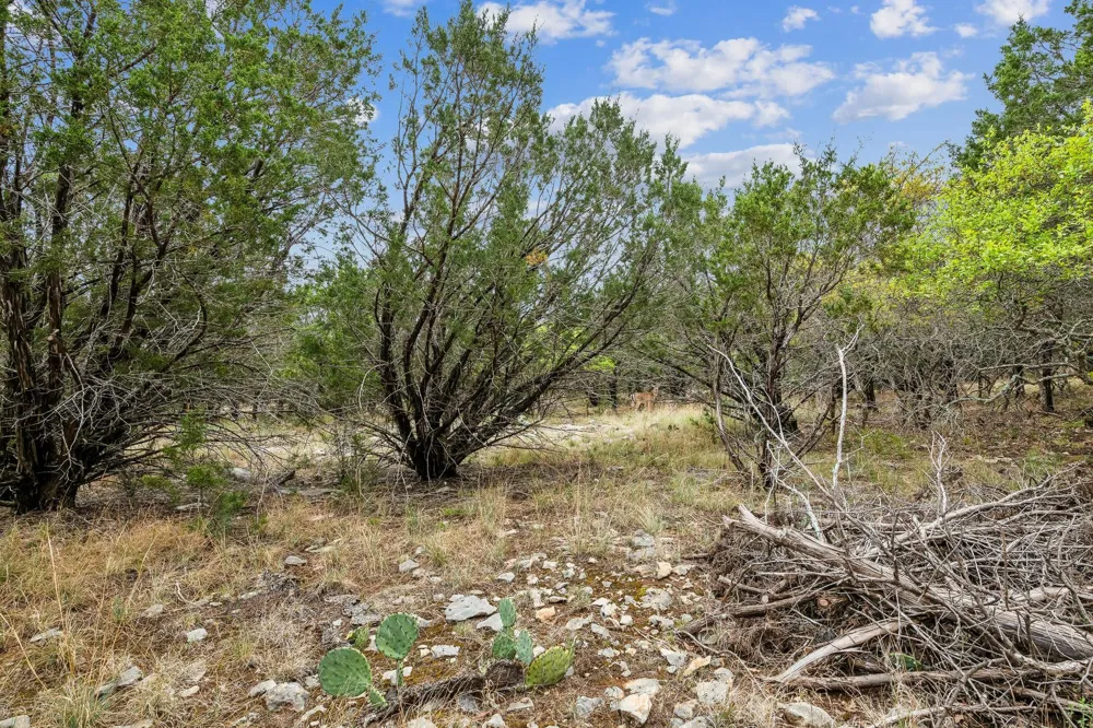 52 Carnoustie Drive Graford, TX 76449