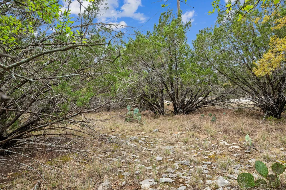 52 Carnoustie Drive Graford, TX 76449