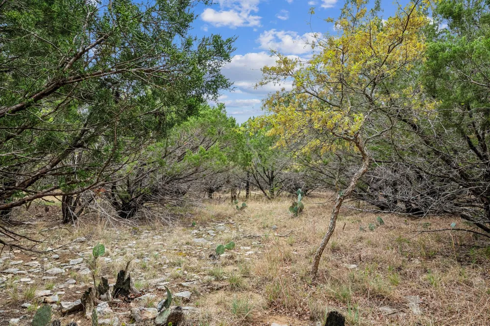 52 Carnoustie Drive Graford, TX 76449