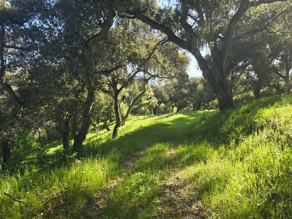 16 SLEEPY HOLLOW DRIVE Carmel Valley, CA 93924