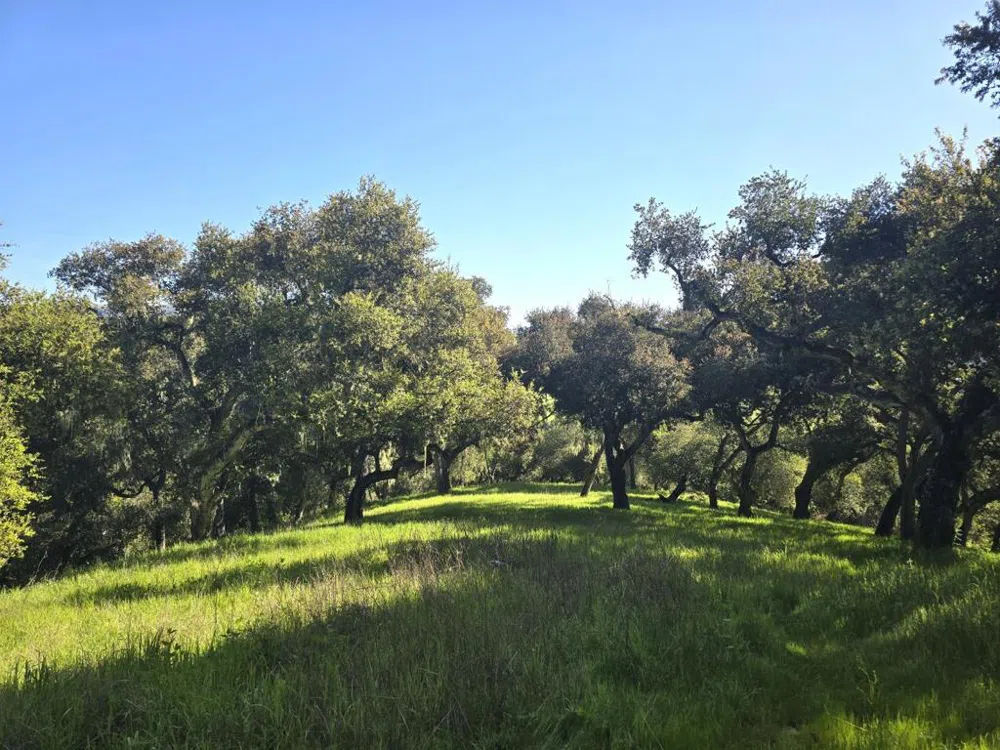 16 SLEEPY HOLLOW DRIVE Carmel Valley, CA 93924