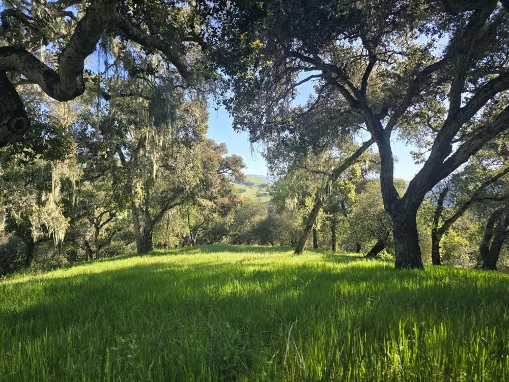 16 SLEEPY HOLLOW DRIVE Carmel Valley, CA 93924