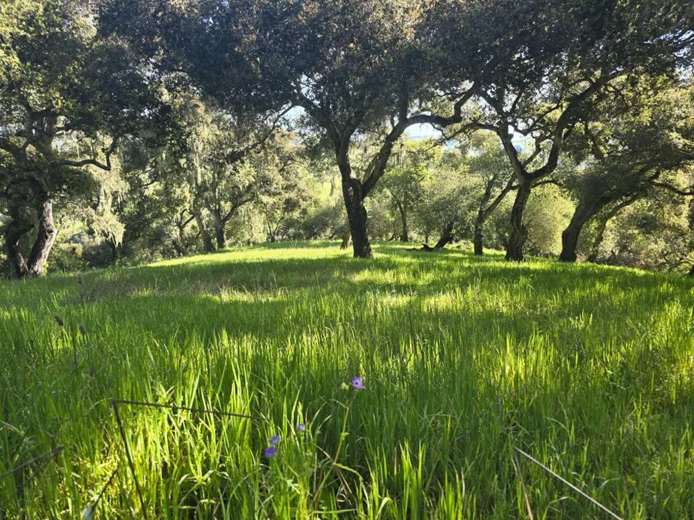 16 SLEEPY HOLLOW DRIVE Carmel Valley, CA 93924