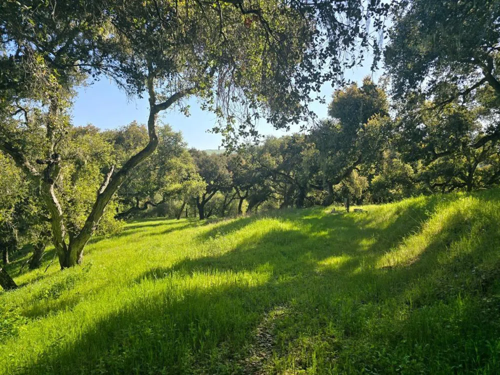 16 SLEEPY HOLLOW DRIVE Carmel Valley, CA 93924