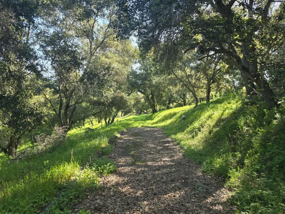 16 SLEEPY HOLLOW DRIVE Carmel Valley, CA 93924