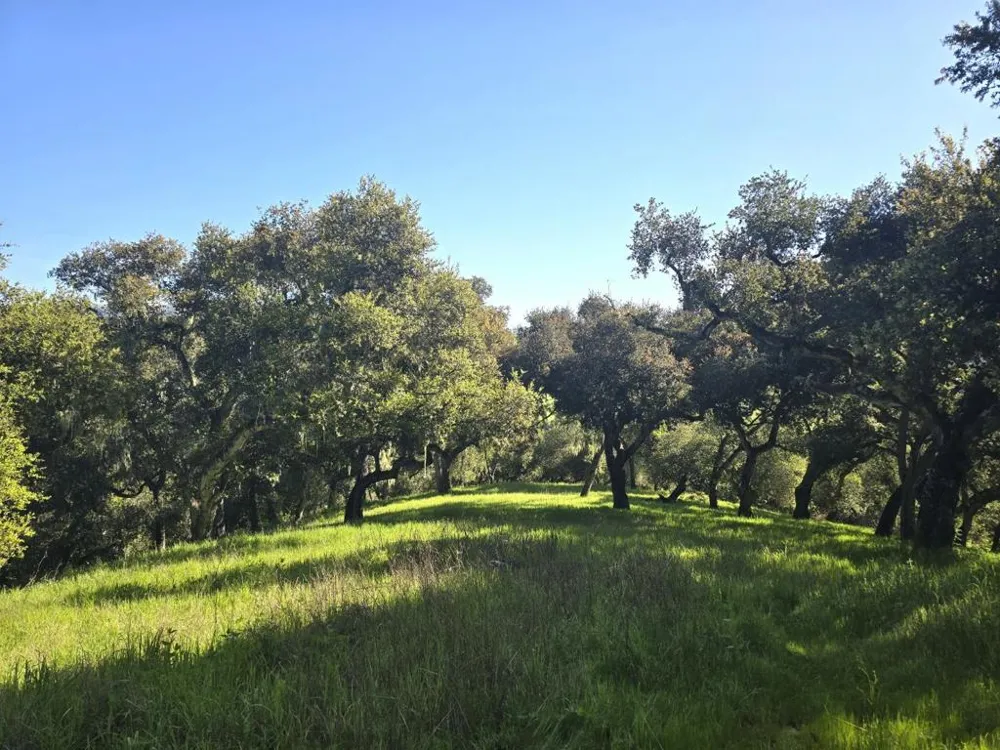 16 SLEEPY HOLLOW DRIVE Carmel Valley, CA 93924