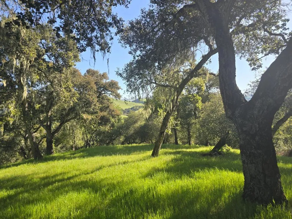 16 SLEEPY HOLLOW DRIVE Carmel Valley, CA 93924