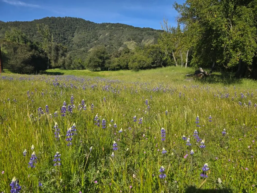 16 SLEEPY HOLLOW DRIVE Carmel Valley, CA 93924