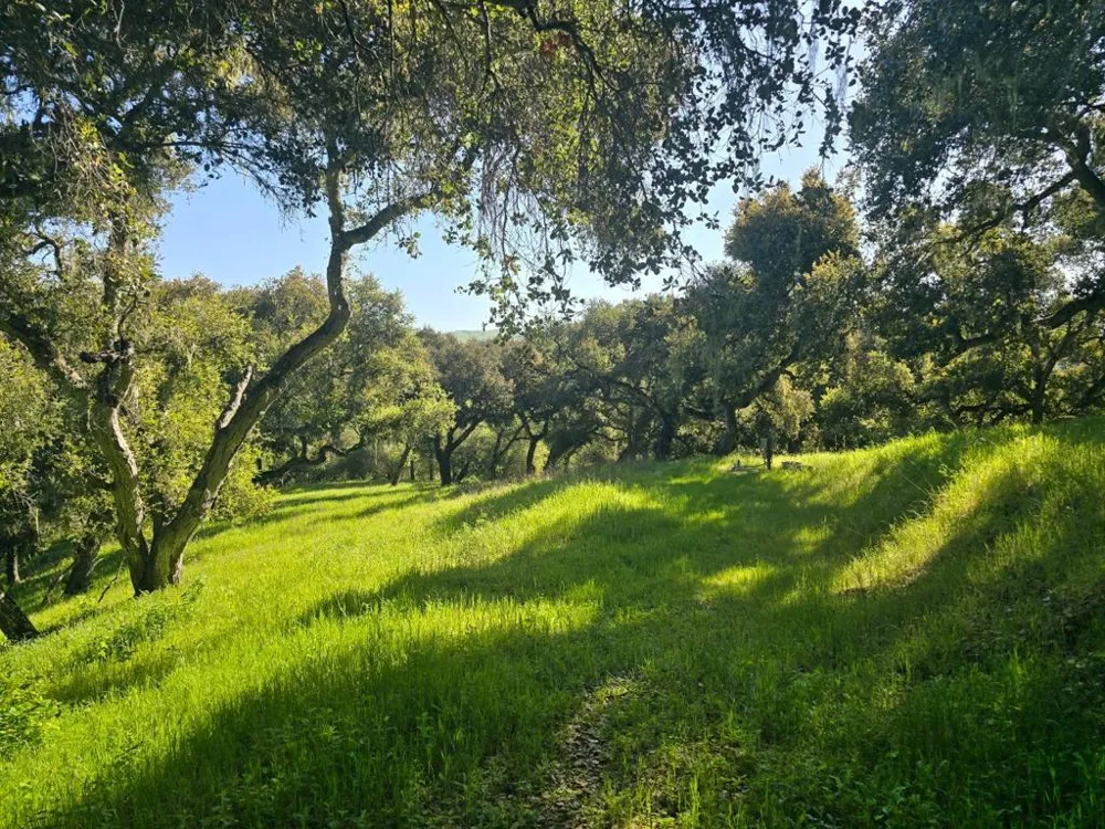 16 SLEEPY HOLLOW DRIVE Carmel Valley, CA 93924