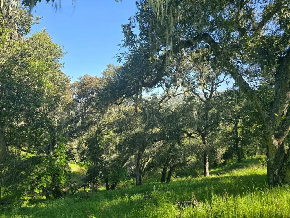 16 SLEEPY HOLLOW DRIVE Carmel Valley, CA 93924