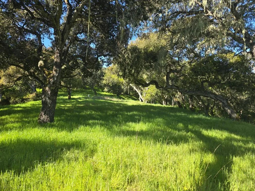 16 SLEEPY HOLLOW DRIVE Carmel Valley, CA 93924