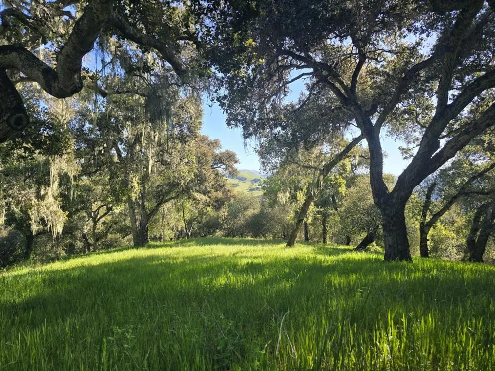 16 SLEEPY HOLLOW DRIVE Carmel Valley, CA 93924