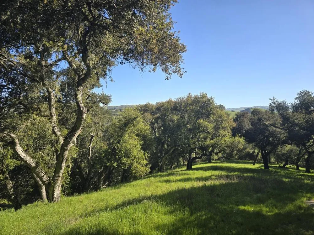 16 SLEEPY HOLLOW DRIVE Carmel Valley, CA 93924