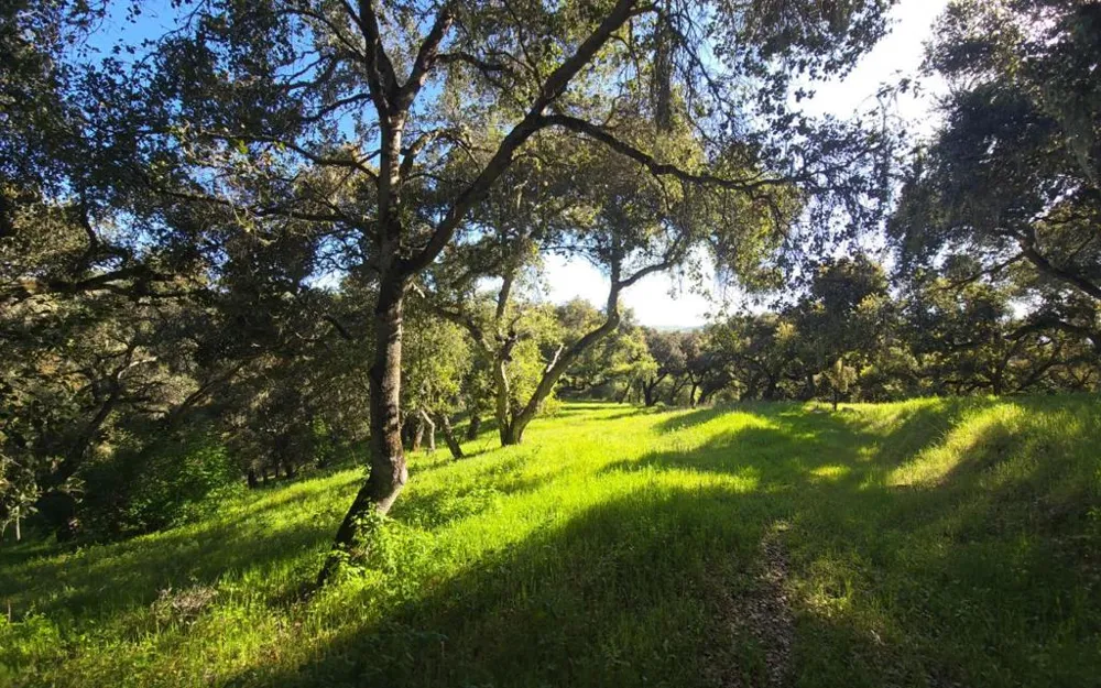 16 SLEEPY HOLLOW DRIVE Carmel Valley, CA 93924