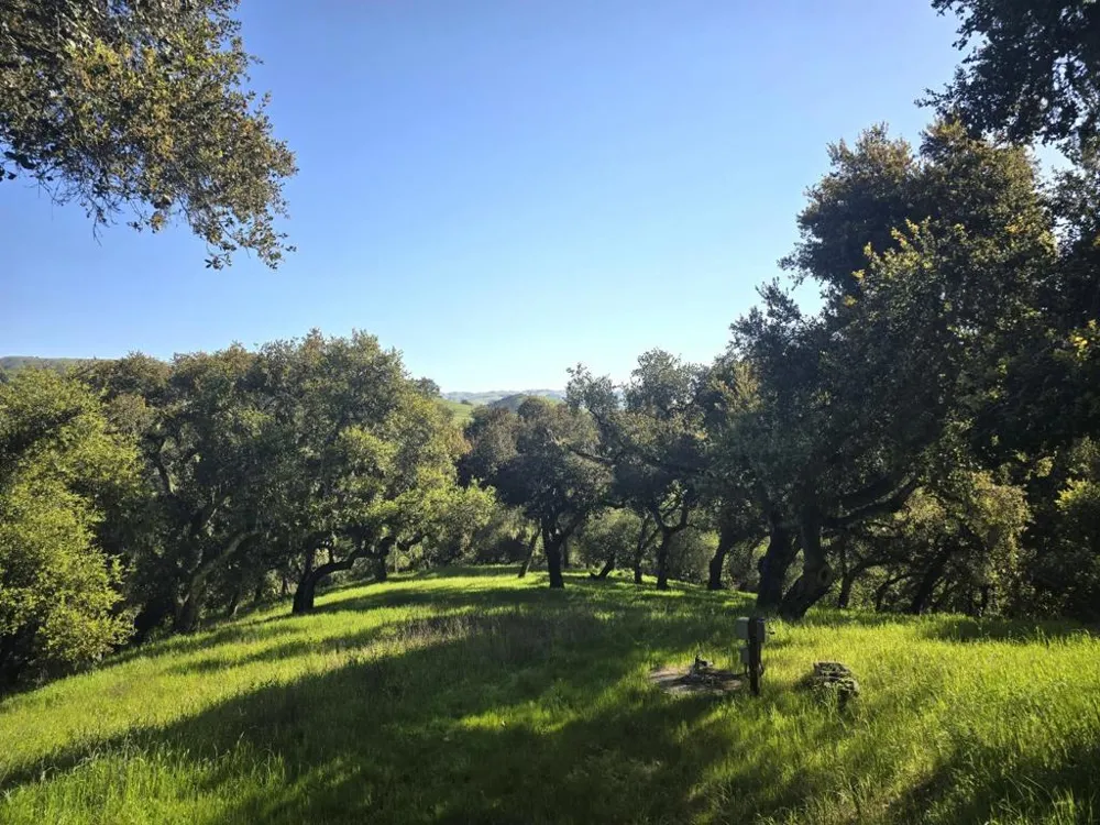 16 SLEEPY HOLLOW DRIVE Carmel Valley, CA 93924
