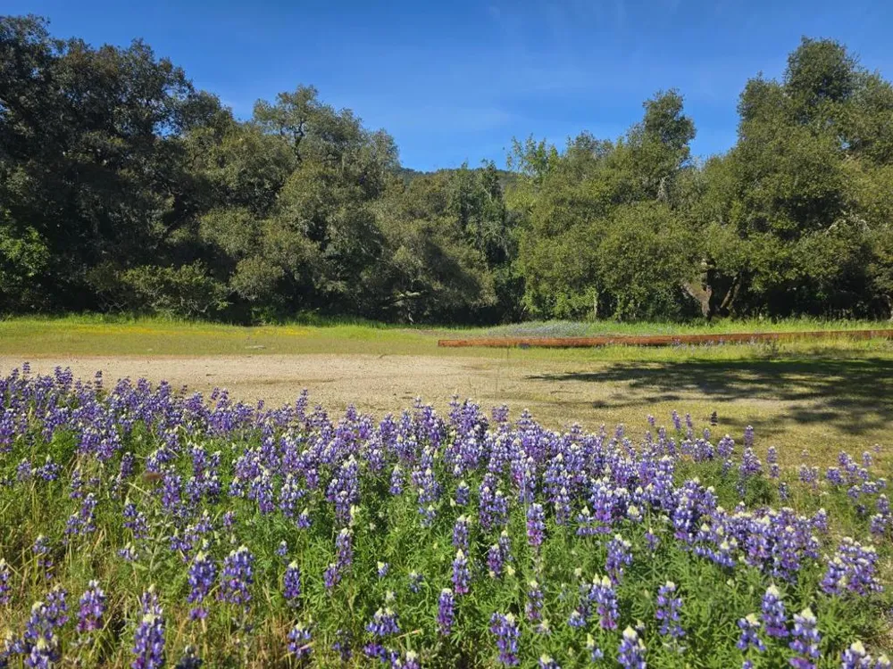 16 SLEEPY HOLLOW DRIVE Carmel Valley, CA 93924