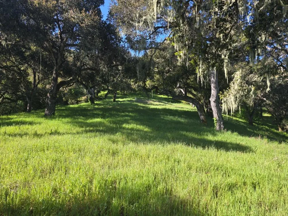 16 SLEEPY HOLLOW DRIVE Carmel Valley, CA 93924