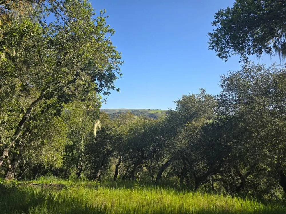 16 SLEEPY HOLLOW DRIVE Carmel Valley, CA 93924