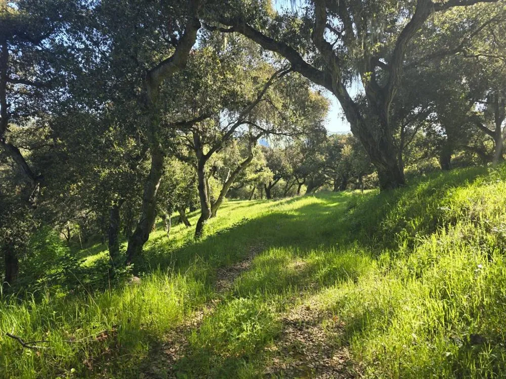 16 SLEEPY HOLLOW DRIVE Carmel Valley, CA 93924