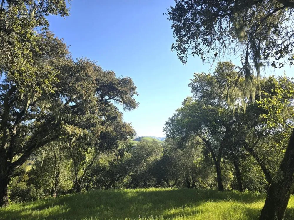 16 SLEEPY HOLLOW DRIVE Carmel Valley, CA 93924